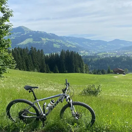 Tenn Lejlighed Hopfgarten im Brixental